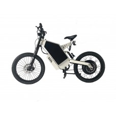 New Poducts QS 3000W Motor With PAS System Low Price Electric Bike From China Factory